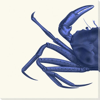 Contrasting Crab in Navy Blue B Wrapped Canvas Giclee Art Print Wall Art