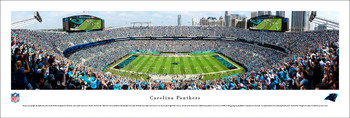 Carolina Panthers Football 50 Yard Line Panoramic Art Print