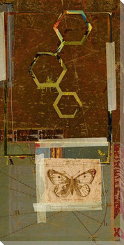 Science Moth with Symbolic Compound Wrapped Canvas Giclee Print
