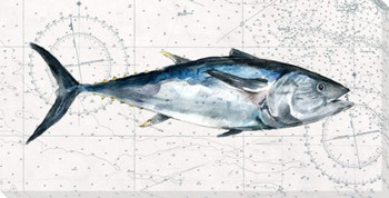 Deep Sea Watercolor Blue Fin Tuna Wrapped Canvas Giclee Print