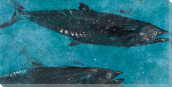Shadows Spanish Mackerel Fish Wrapped Canvas Giclee Print Wall Art