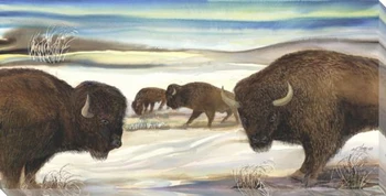 Bison in the Snow Wrapped Canvas Giclee Print Wall Art