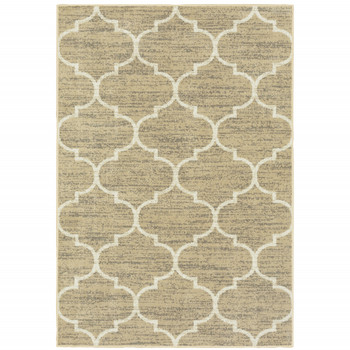 4' x 6' Beige & Ivory Geometric Power Loom Stain Resistant Area Rug