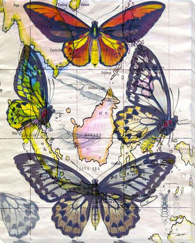 Butterfly Map IV Wrapped Canvas Giclee Print Wall Art