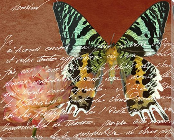 Scrolled Butterfly 5 Wrapped Canvas Giclee Print Wall Art