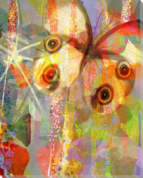 Garden Color Study Butterfly 2 Wrapped Canvas Giclee Print