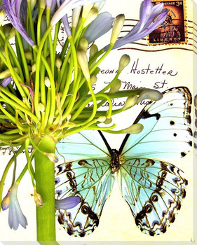 Lilies of the Nile Butterfly 2 Wrapped Canvas Giclee Print