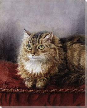 Cat on a Red Cushion Wrapped Canvas Giclee Print Wall Art