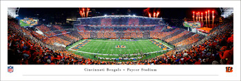 Cincinnati Bengals Football Stripe the Jungle Panoramic Art Print