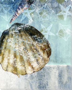 Beachcombing Shell 4 Wrapped Canvas Giclee Print Wall Art