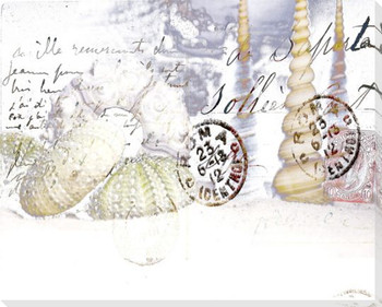 Warm Colored Shells II Wrapped Canvas Giclee Print Wall Art