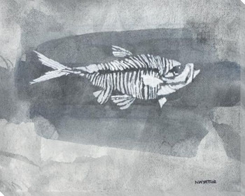 Negative Fossil Fish Wrapped Canvas Giclee Art Print Wall Art