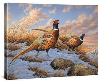24" Standing Ground Pheasant Birds Gallery Wrapped Canvas Art Print Wall Art