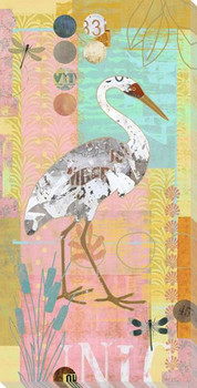 Shore Birds 3 Pelicans Wrapped Canvas Giclee Art Print Wall Art