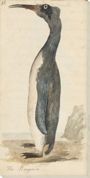 The Penguin Bird Wrapped Canvas Giclee Art Print Wall Art