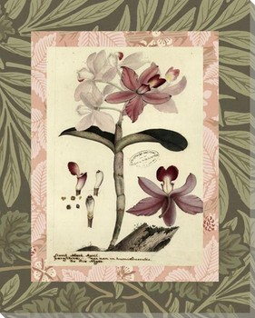 Patterned Botanical 6 Wrapped Canvas Giclee Art Print Wall Art
