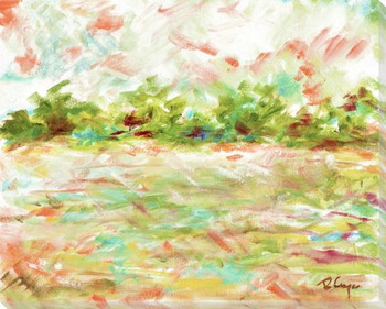 Splash of Color Wrapped Canvas Giclee Art Print Wall Art