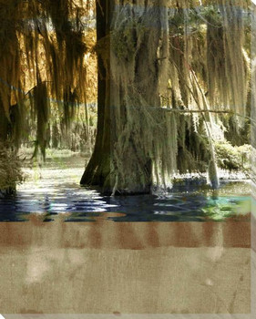 Low Country Trees II Wrapped Canvas Giclee Print Wall Art