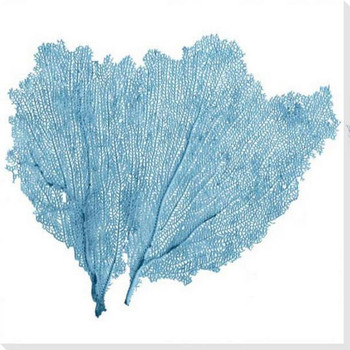 Bright Sea Fan 4 Wrapped Canvas Giclee Art Print Wall Art