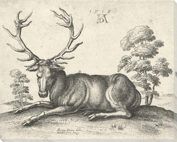 A Stag Lying Wrapped Canvas Giclee Art Print Wall Art