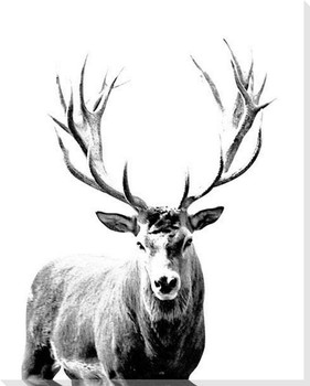 Graphic Deer 4 Wrapped Canvas Giclee Art Print Wall Art