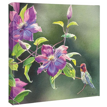 14" x 14" Passion for Pink Anna's in Clematis Hummingbird Wrapped Canvas Wall Art