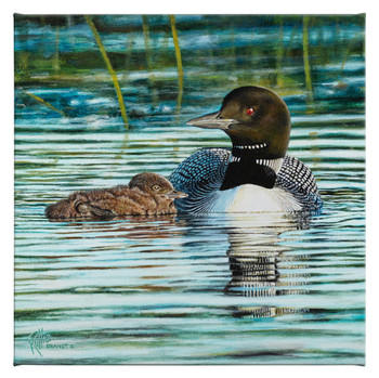 14" x 14" Swimming Lessons Loons Wrapped Canvas Wall Art
