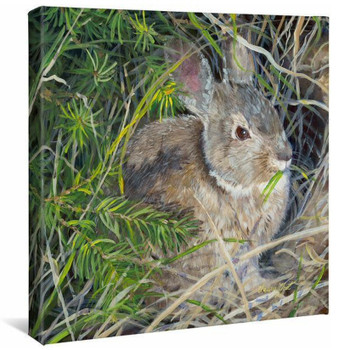 14" x 14" Peter Cottontail Bunny Rabbit Wrapped Canvas Wall Art