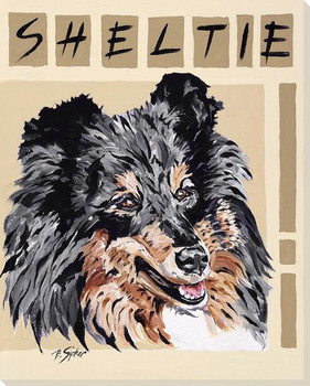 Sheltie Dog Wrapped Canvas Giclee Print Wall Art