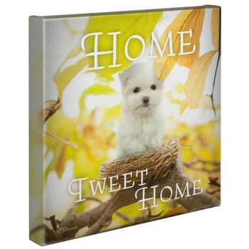 14" x 14" Home Tweet Home Puppy Wrapped Canvas Wall Art