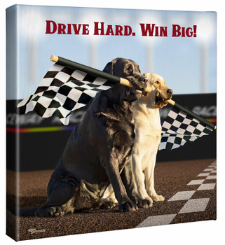 14" x 14" Rally - Black & Yellow Labradors Wrapped Canvas Wall Art