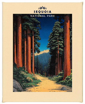 Sequoia National Park Wrapped Canvas Wall Art