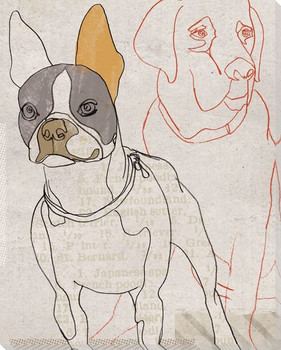 Brown Dog Face Wrapped Canvas Giclee Print Wall Art