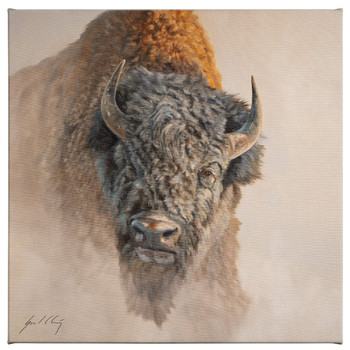 14" x 14" Shaking Off the Dust Bison Wrapped Canvas Wall Art