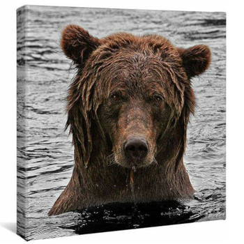 14" x 14" Grizzly Bear Stare Wrapped Canvas Wall Art