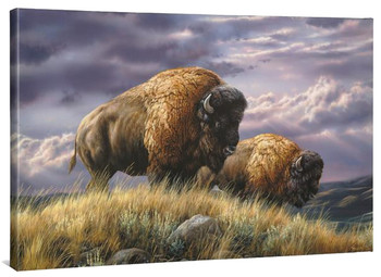 24" x 36" Nomads of the Plains Bison Gallery Wrapped Canvas Wall Art