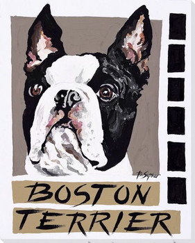Boston Terrier Dog Wrapped Canvas Giclee Print Wall Art