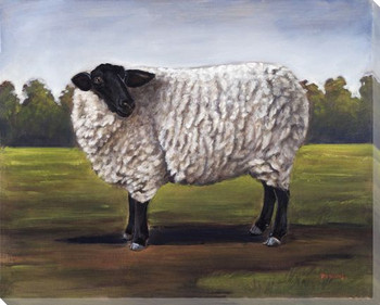 Black and White Sheep Wrapped Canvas Giclee Print Wall Art