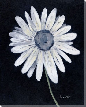 Daisy Flower Wrapped Canvas Giclee Print Wall Art