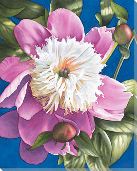 Peony 1 Flower Wrapped Canvas Giclee Print Wall Art