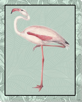 Flamingo Bird In Color Wrapped Canvas Giclee Art Print Wall Art