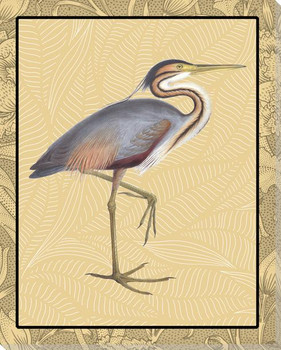 Purple Heron Bird In Color Wrapped Canvas Giclee Art Print Wall Art