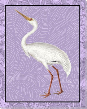 White Crane Bird In Color Wrapped Canvas Giclee Art Print Wall Art