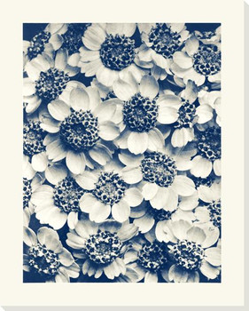 Archetypes In Blue 119 Wrapped Canvas Giclee Art Print Wall Art