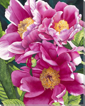 Peonies 2 Flowers Wrapped Canvas Giclee Print Wall Art