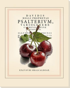 Cherries Wrapped Canvas Giclee Art Print Wall Art