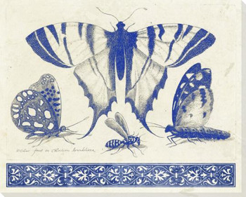 Garden Insects 2 Wrapped Canvas Giclee Art Print Wall Art
