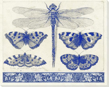 Garden Insects 3 Wrapped Canvas Giclee Art Print Wall Art
