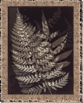 Burlap & Fern Photogram 3 Wrapped Canvas Giclee Art Print Wall Art