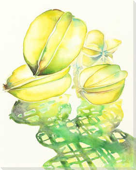 Star Fruit Morning Wrapped Canvas Giclee Print Wall Art